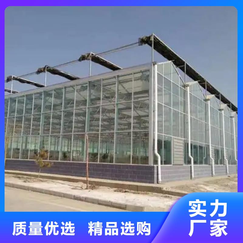 苍南县葡萄大棚专用膜欢迎电询2024乡村振兴计划