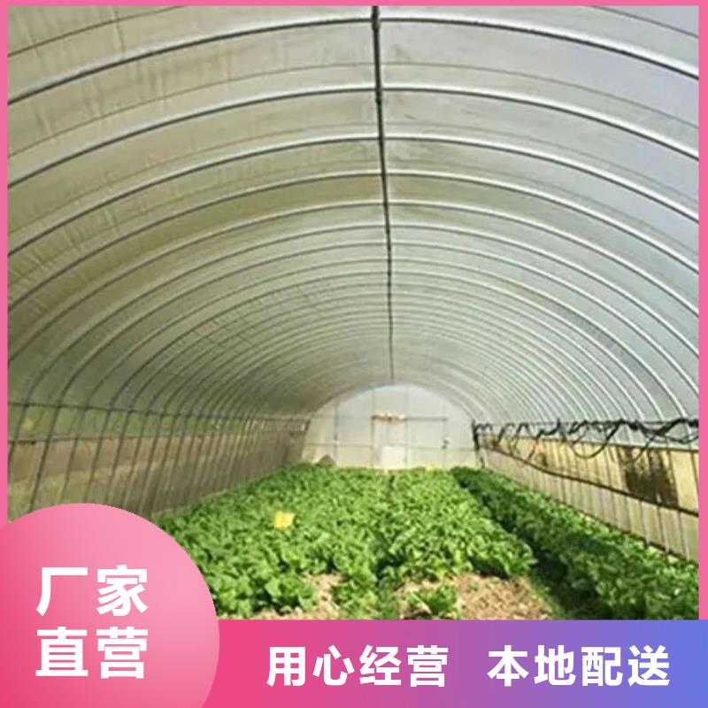 广东省深圳市龙华街道蔬菜大棚价格10年经验
