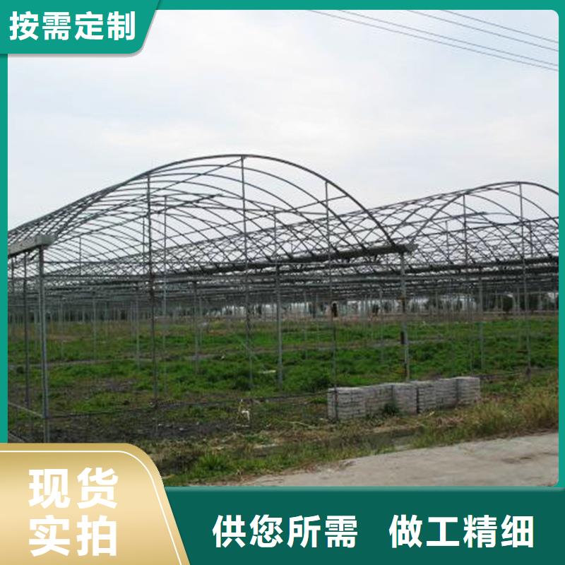 《杭州》品质单体蔬菜大棚厂家供应
