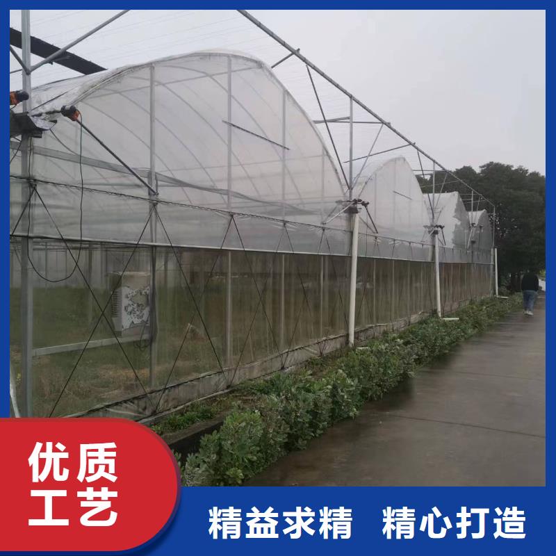 苍南县葡萄大棚专用膜欢迎电询2024乡村振兴计划