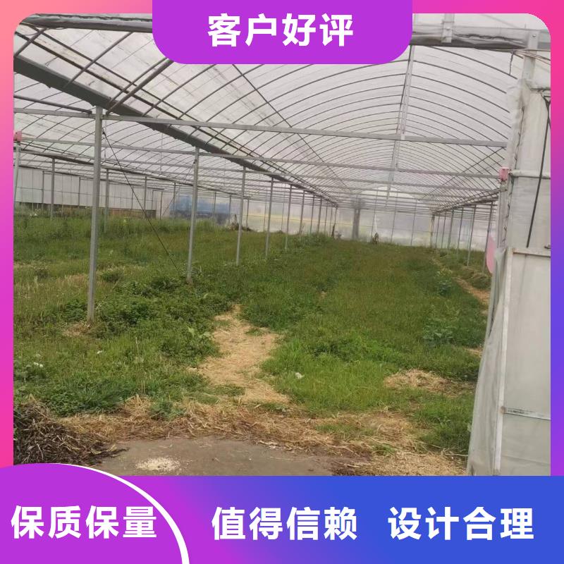 临潭县热镀锌蔬菜大棚管品质保证