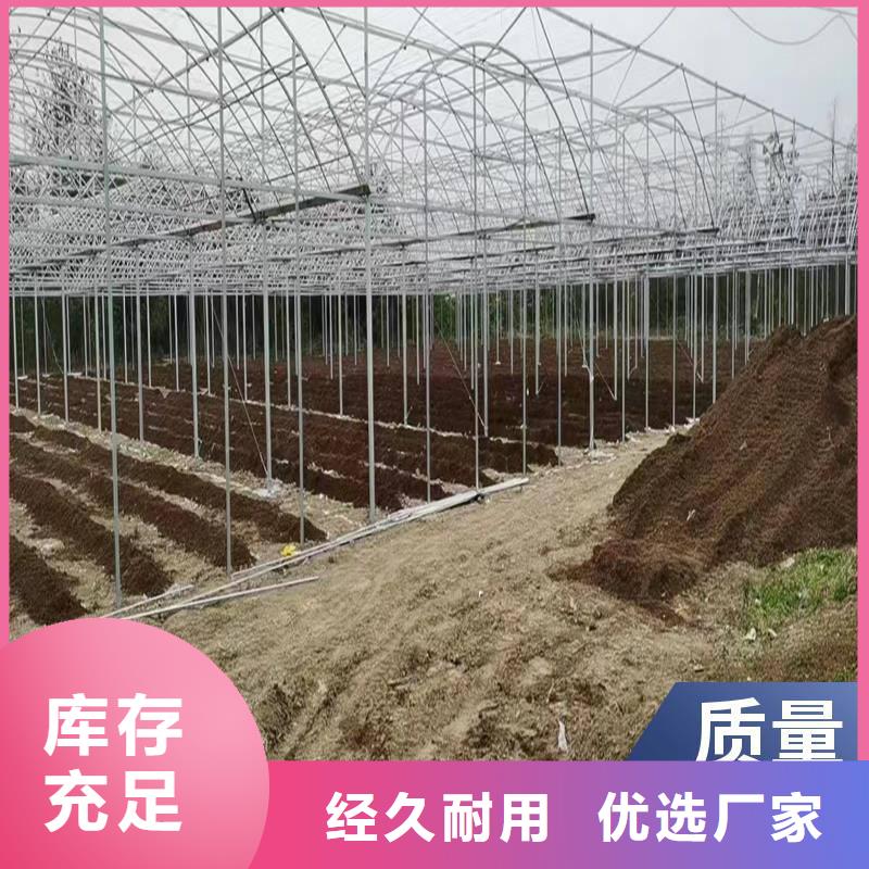 浙江省杭州本土江干区温室和大棚的建设费,连栋比批发价格2023-8-28