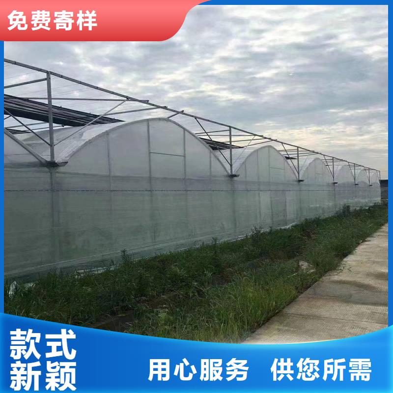 广东省颜色尺寸款式定制《金荣圣》中草药种植大棚供应商
