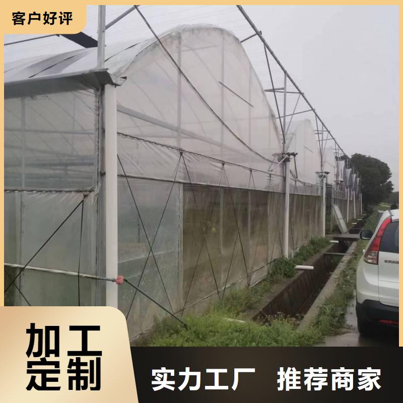肇东县GP825葡萄避雨大棚现货价格