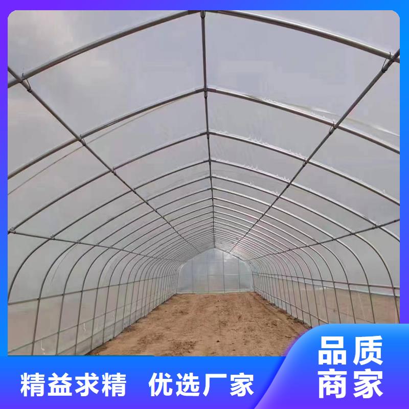 江苏省南京市客户满意度高金荣圣葡萄大棚钢管质量优