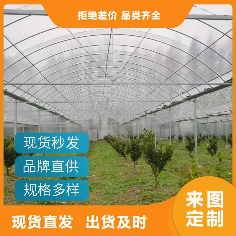 户县出售温室钢架大棚型号全2024-8-28