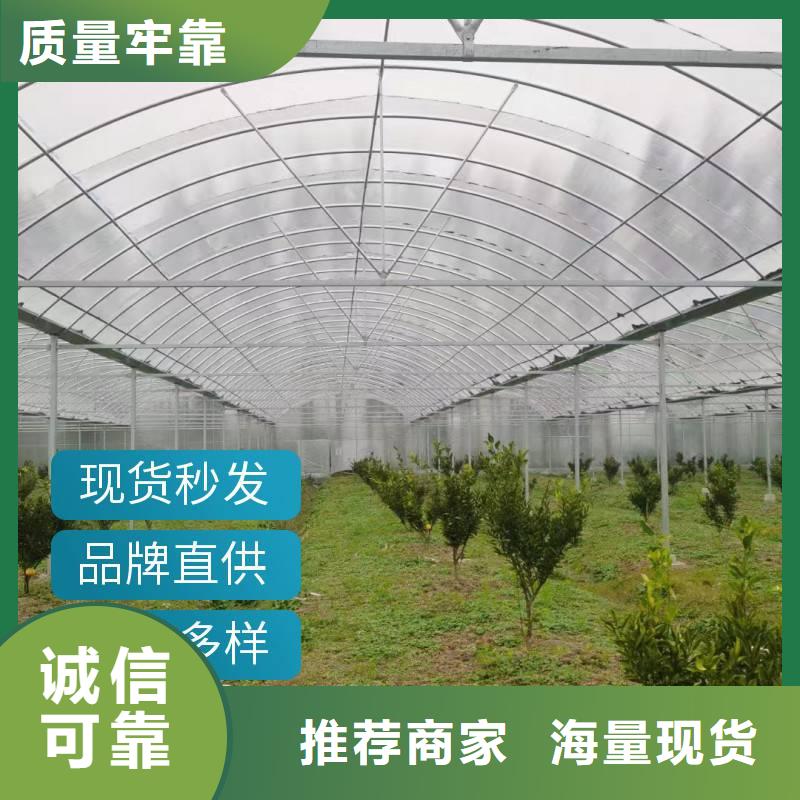 白河县蔬菜大棚钢管生产基地