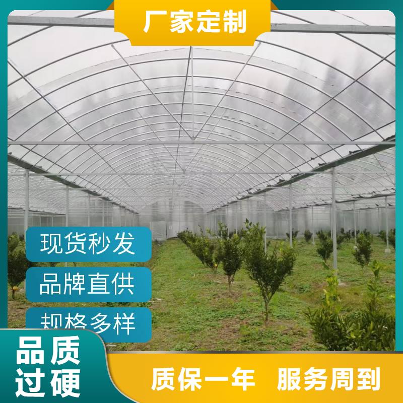 广东省颜色尺寸款式定制《金荣圣》中草药种植大棚供应商