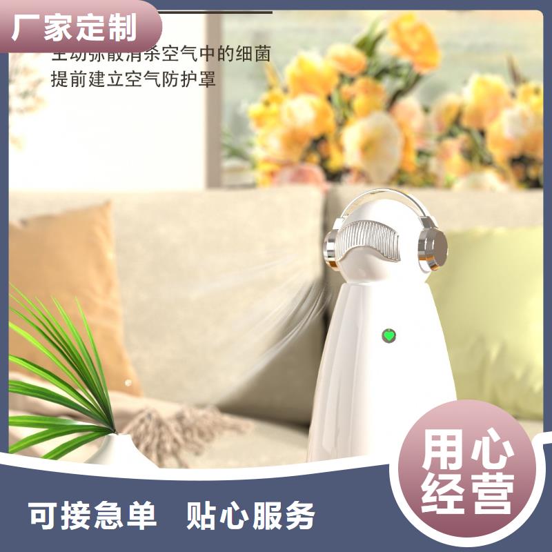 【深圳】家用室内空气净化器怎么卖小白祛味王