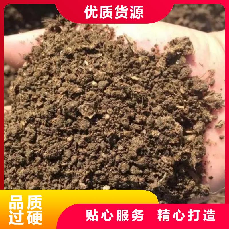 深圳市松岗街道鸡粪有机肥改良土壤