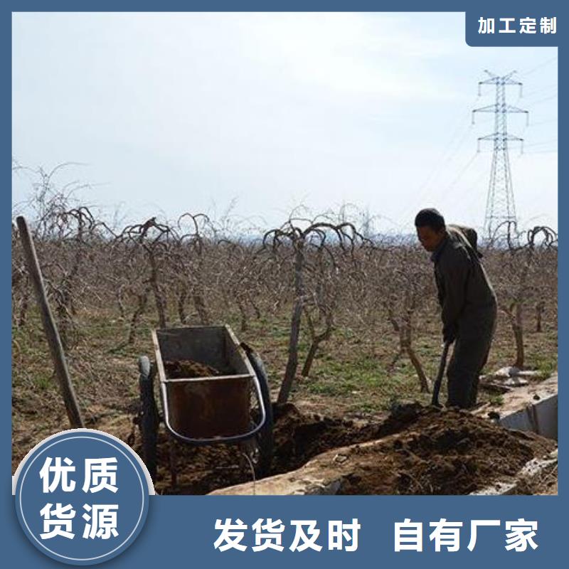 汕头市汕头龙湖高新技术产业开发区干鸡粪肥沃农田