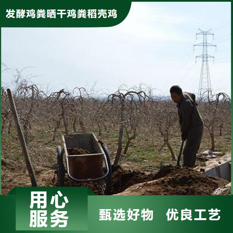 珠海莲洲镇鸡粪有机肥提升土壤肥力