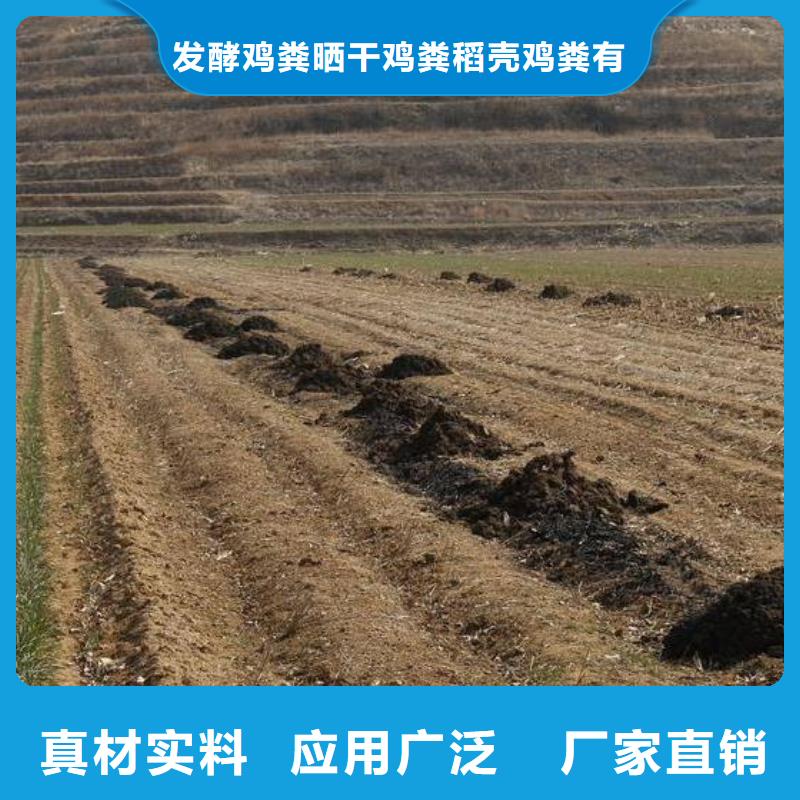 发酵羊粪提升土壤肥力