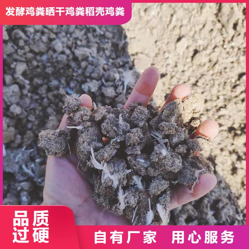 聊城北京天津发酵鸡粪降低生产成本