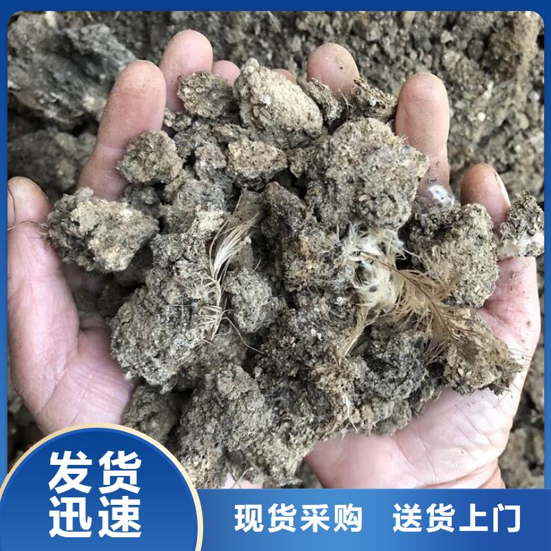 潍坊销售稻壳鸡粪改良土壤