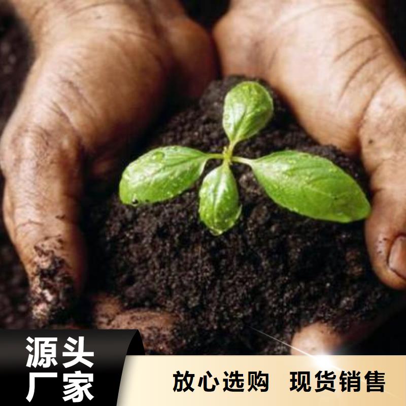 【厦门】直供发酵羊粪提升土壤肥力