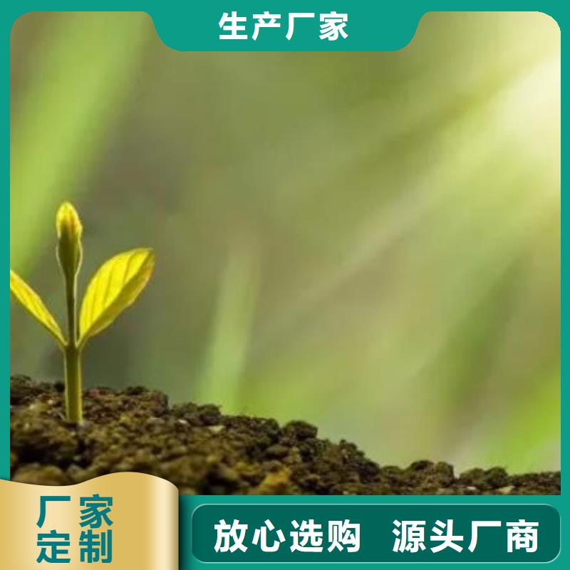 台湾同城省鸡粪苹果树施肥