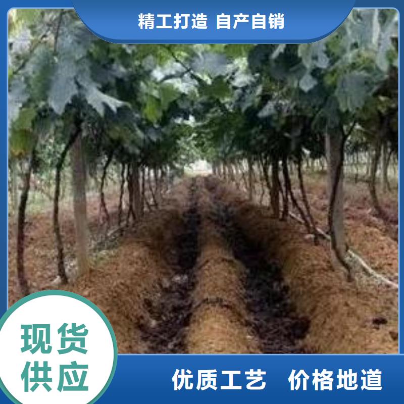 深圳市民治街道鸡粪改善土壤结构