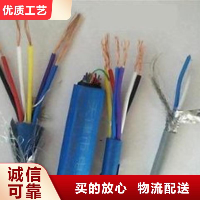 【电线电缆】PTYA23电缆一周内发货
