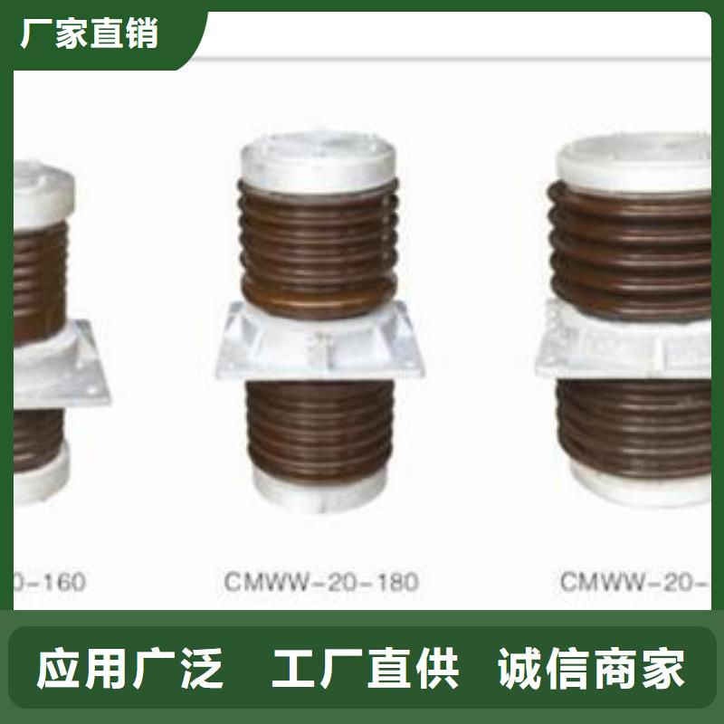 FCWW-20/1250高压硅胶穿墙套管