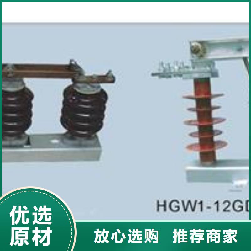 HGW9-10/200A高压隔开开关樊高