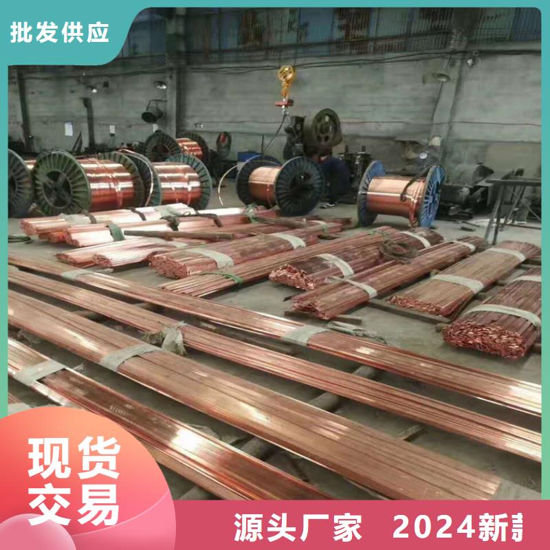 【天津】询价镀锡铜绞线TJX-95mm2真正生产厂家