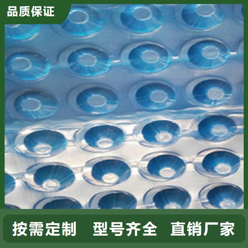 【塑料排水板】膨润土防水毯厂家正品保障